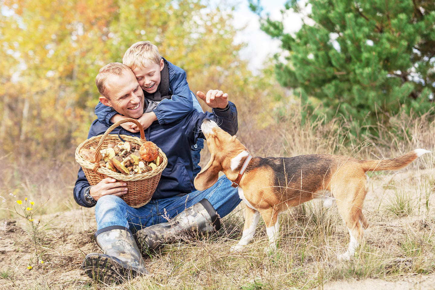Otec a syn s košíkem plným hub dovádí se svým psem rasy bígl