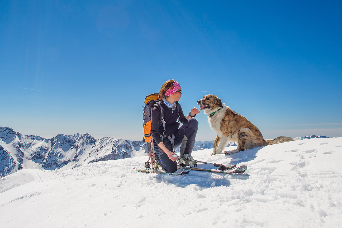Slečna na lyžích se psem na vrcholku zasněžené hory